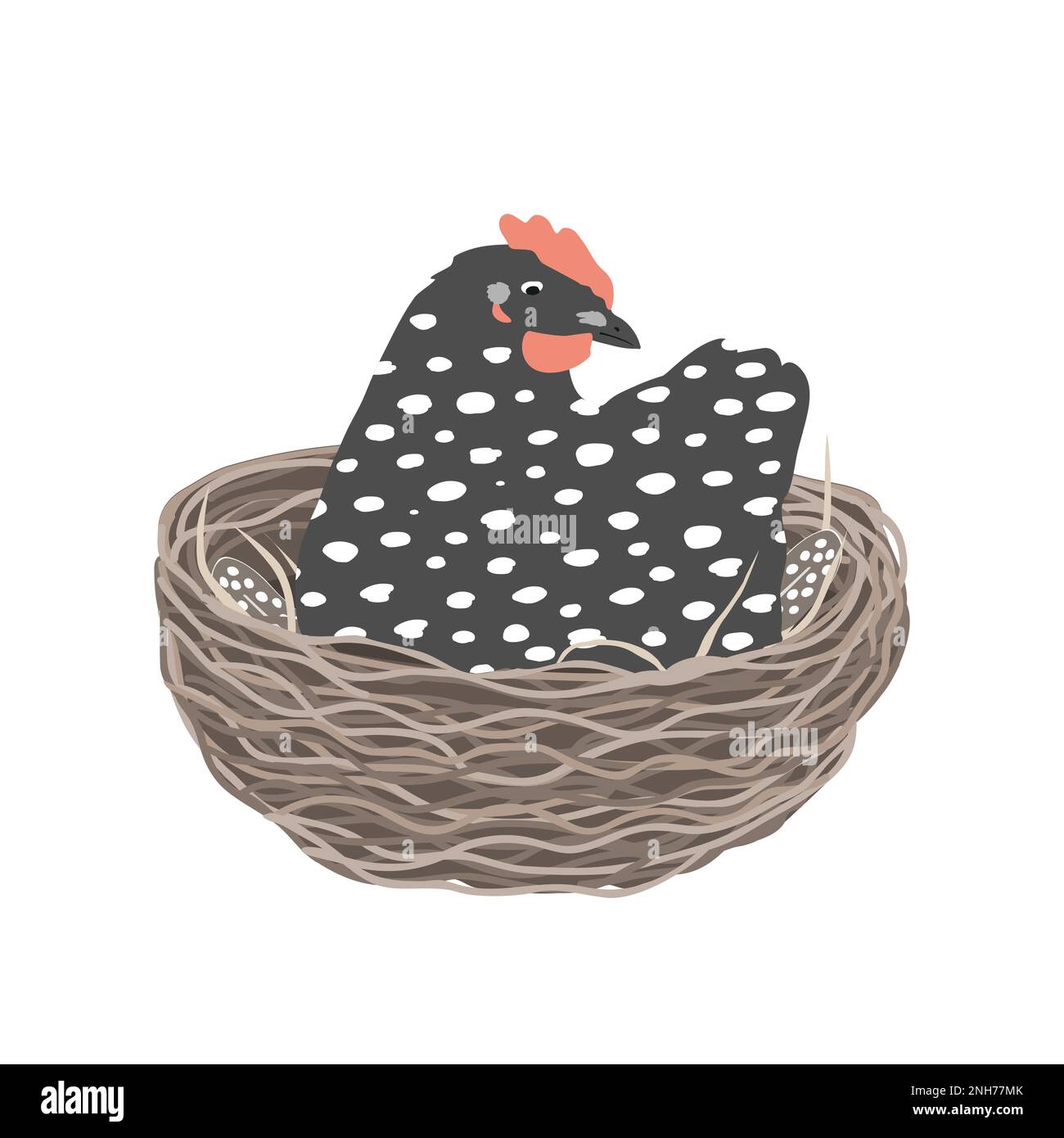 Jolie poule aux pommes assise dans le nid. Illustration vectorielle isolée sur fond blanc Illustration de Vecteur