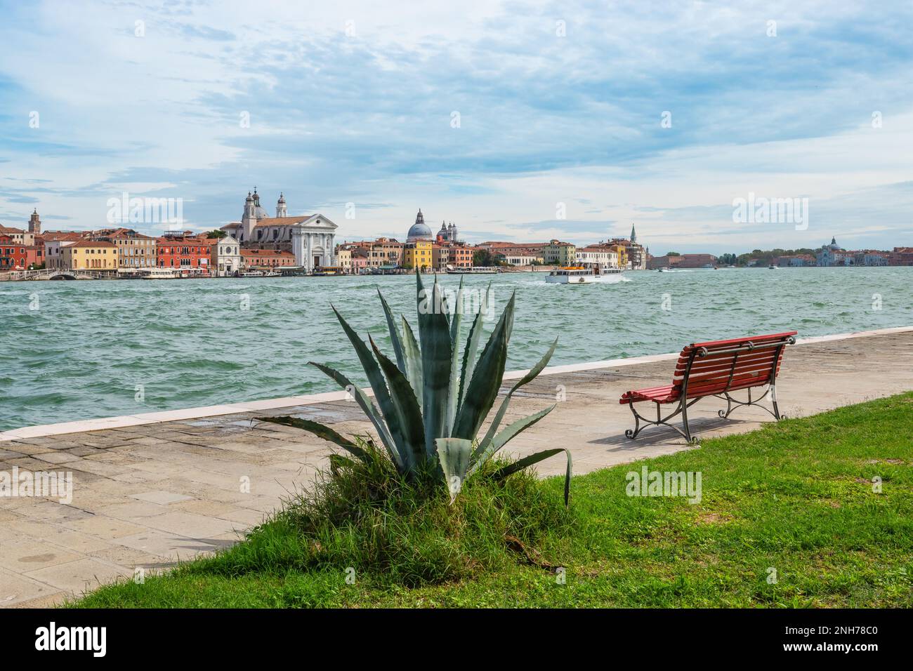 Usine de Vera d'aloès et banc en bois au bord de l'eau du canal Giudecca à Venise, Italie. Banque D'Images