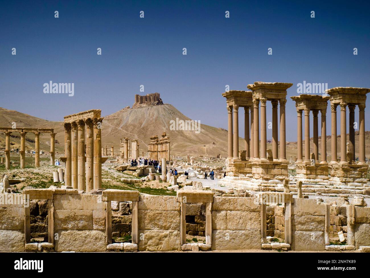 Camp de Dioclétien dans les ruines de la ville antique de Palmyra, gouvernorat de Homs, Syrie Banque D'Images