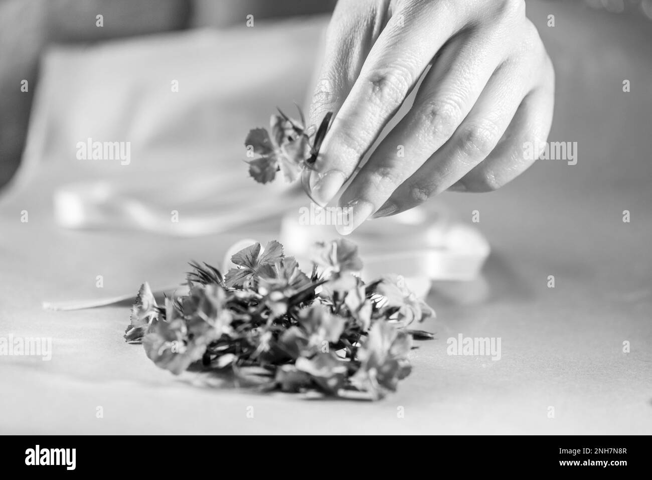 Une jeune femme tient des fleurs pour les séquelles dans le pays de Turquie, gros plan Banque D'Images