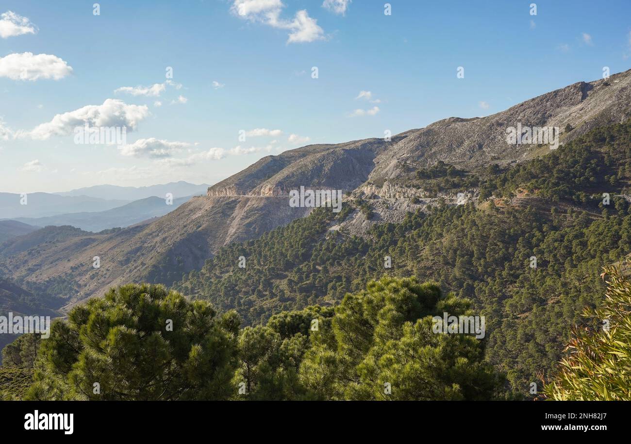 Région montagneuse Serrania de ronda, avec route vers Ronda, Andalousie, Espagne. Banque D'Images