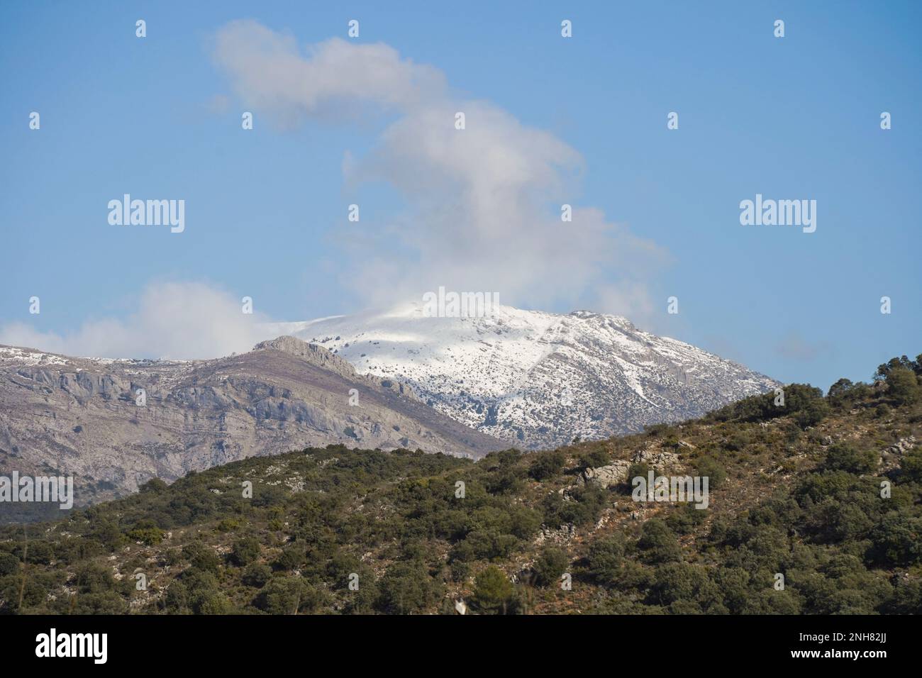 Sierra de las Nieves, parc national, sommet de montagnes couvertes de neige dans la Serrania de Ronda, Andalousie, sud de l'Espagne. Banque D'Images