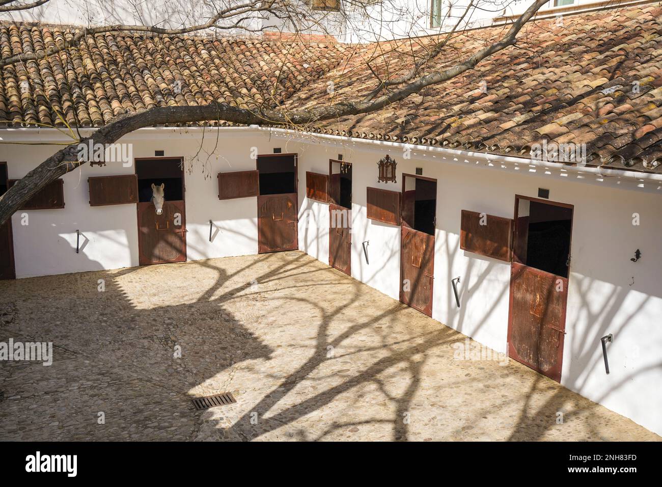 Royal Riding School, écuries à l'intérieur de l'arène de Ronda, province de Malaga, Andalousie, Espagne. Banque D'Images