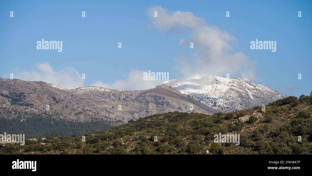 Sierra de las Nieves, parc national, sommet de montagnes couvertes de neige dans la Serrania de Ronda, Andalousie, sud de l'Espagne. Banque D'Images