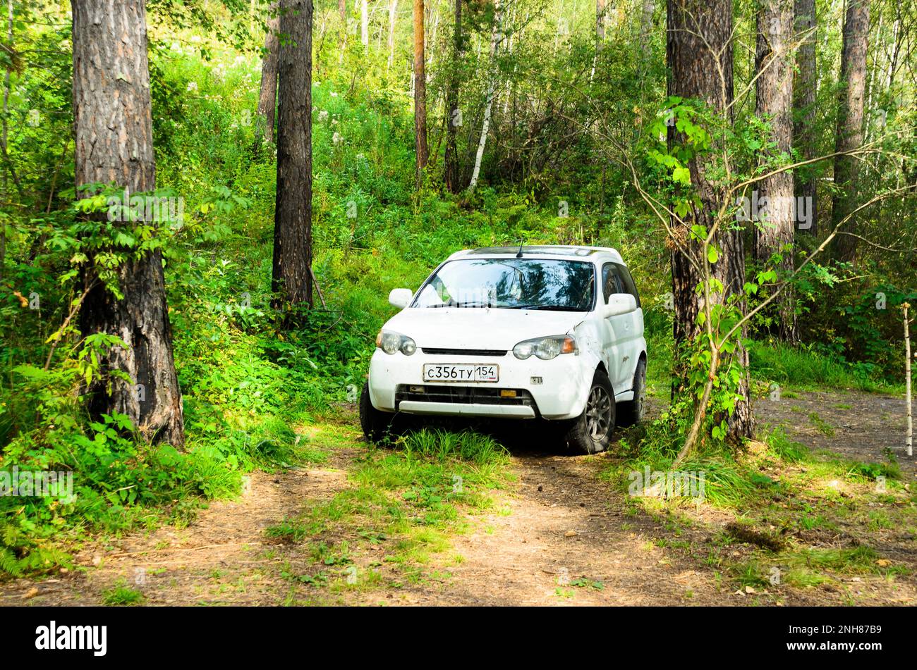 Marque automobile « Honda HR-V » conduite sur une route forestière dans l'Altaï Banque D'Images