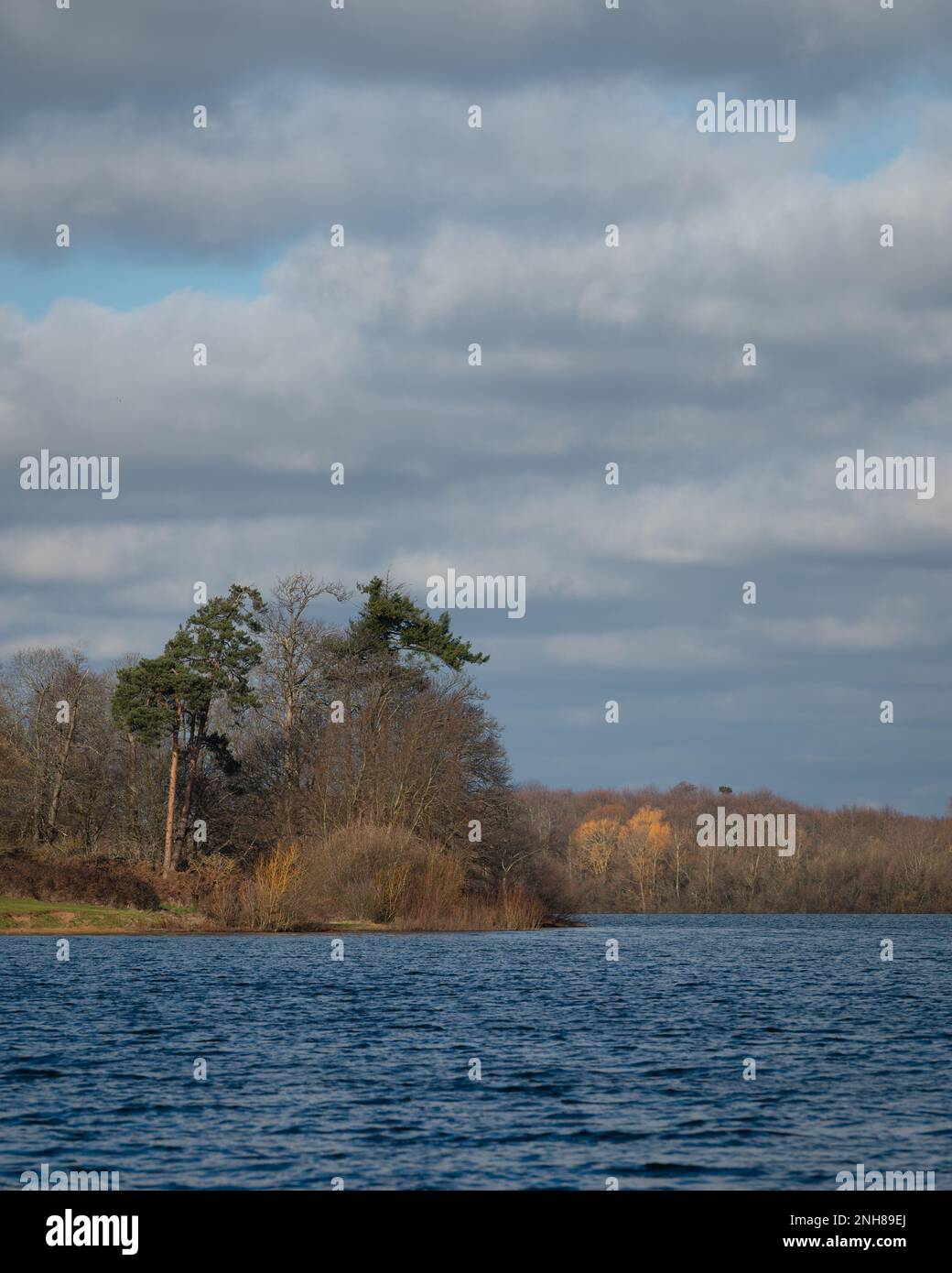 Alton Water (Alton Reservoir) lors d'une journée ensoleillée en février. Couleurs chaudes des arbres, ciel bleu. Banque D'Images