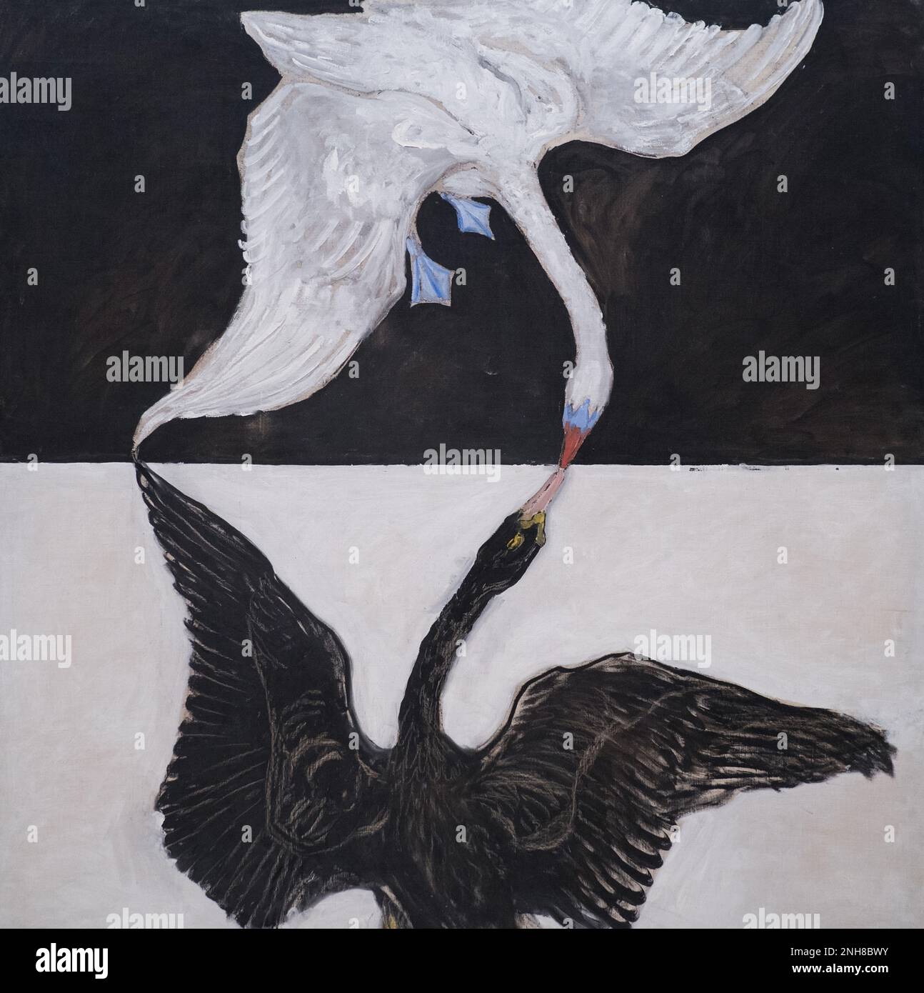 Le majestueux cygne symbolisait la « grandeur de l’esprit » à Helena Blavatsky, fondatrice de la Théosophie, un mouvement spiritualiste d’un grand intérêt pour Hilma af Klint; en alchimie, le cygne représente l’union des contraires nécessaires à la création de la pierre philosophale, substance censée transformer les métaux de base en or. Banque D'Images