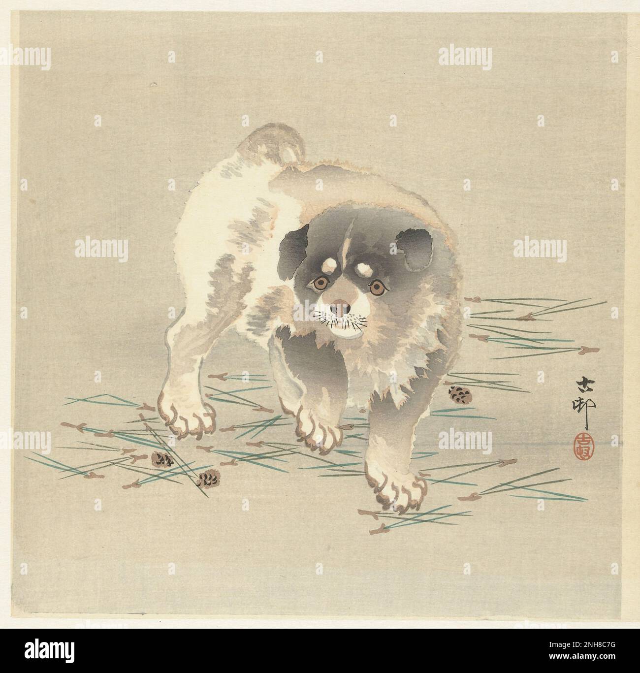 Une aquarelle d'un artiste japonais Ohara Koson. Chiot (1900 - 1930) Banque D'Images