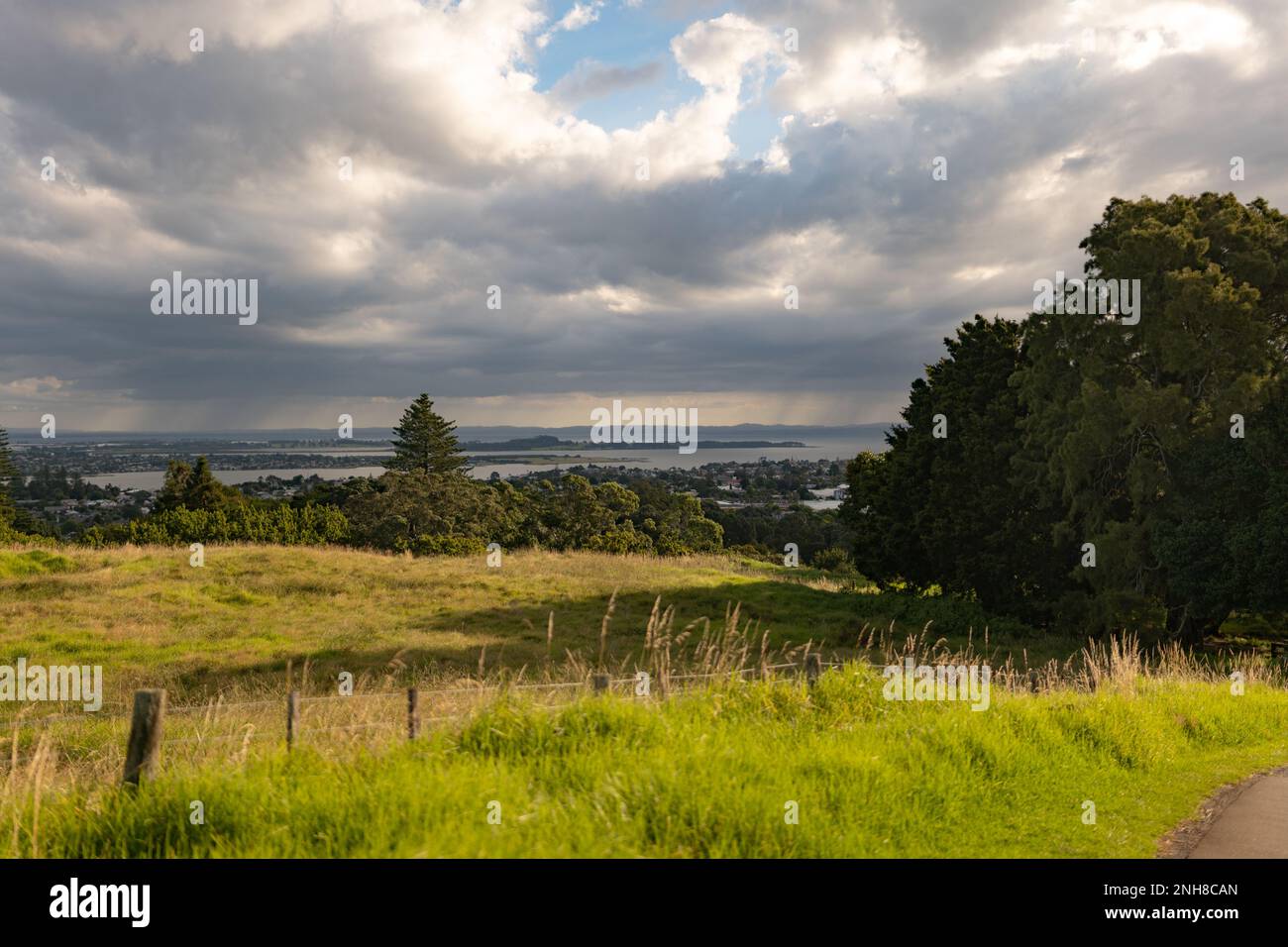 certaines vues sur une colline arborescente Banque D'Images