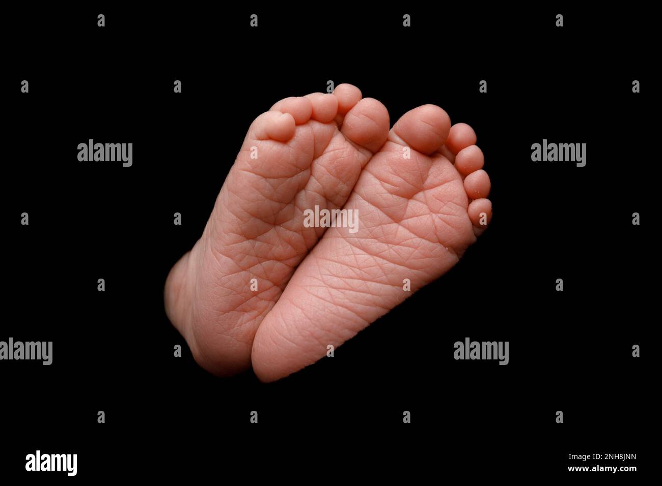 gros plan des pieds de bébé, des pieds de nouveau-né Banque D'Images