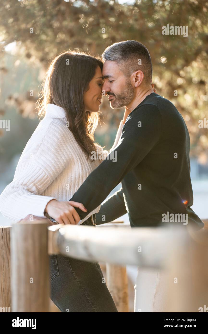 Un couple amoureux sous un arbre près de la plage avec le coucher de soleil sur le fond Banque D'Images