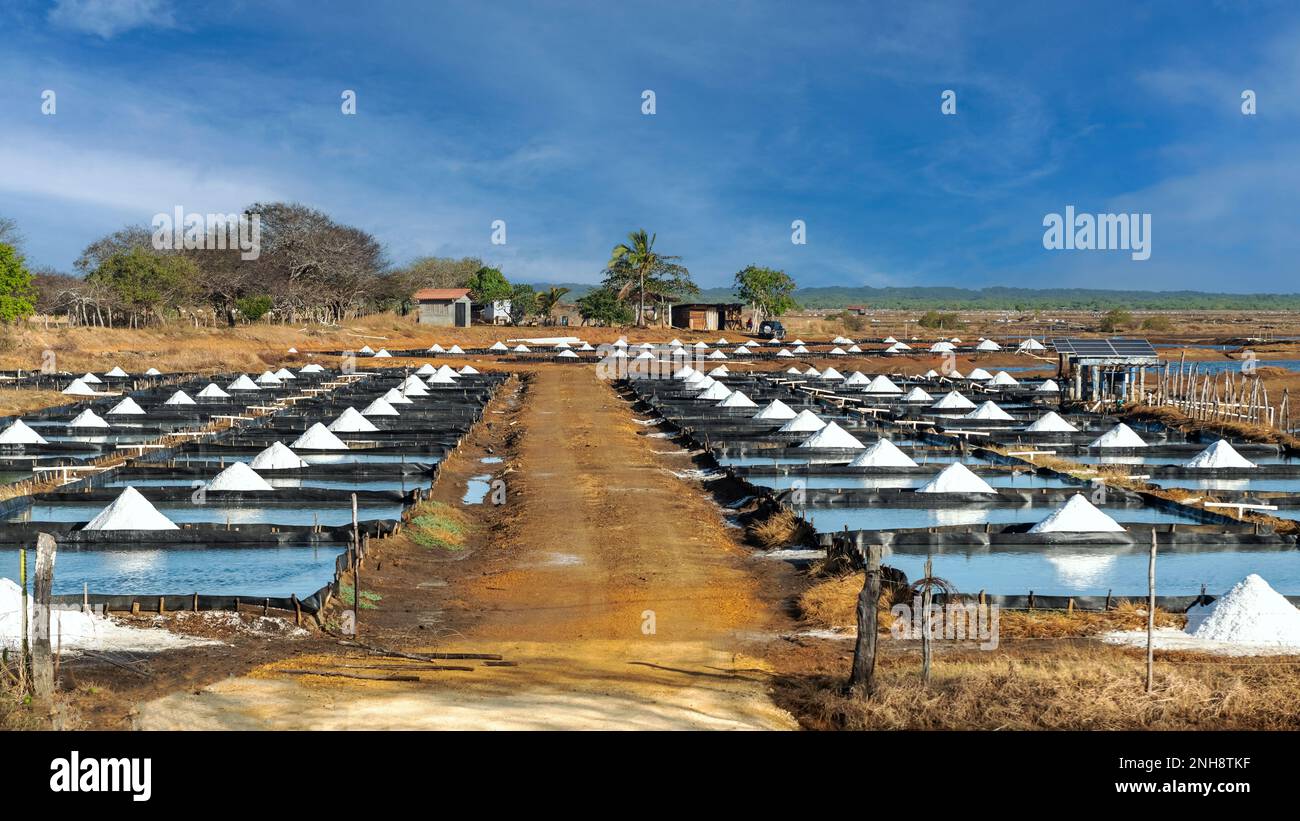 Admirez les champs de sel de la péninsule Azuero au Panama. Banque D'Images