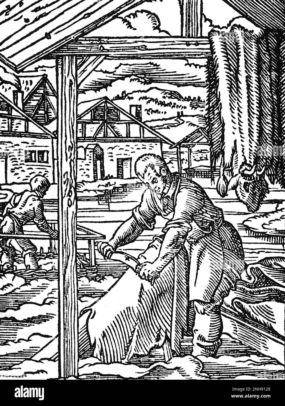 Un teneur ou un travailleur du cuir raclant les peaux d'animaux. Coupe de bois du Livre des métiers de Jost Amman, 1568. Banque D'Images