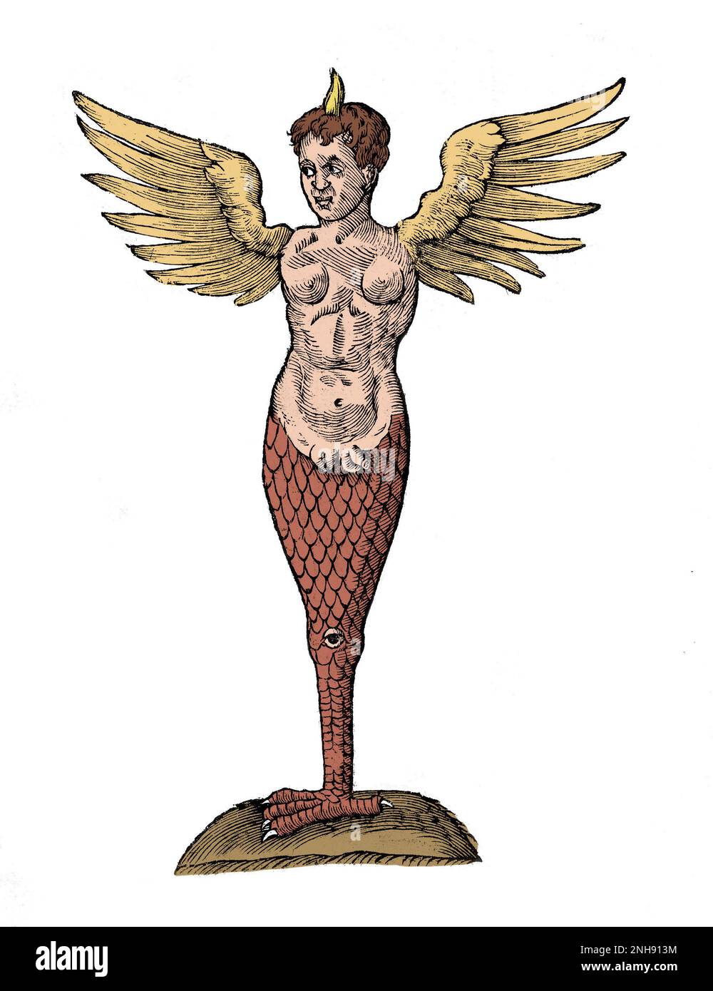Un monstre à cornes et ailées avec le pied d'un oiseau. Illustration de l'Opéra omnia par Ulisse Aldrovandi, 17th siècle. En 1512, un apothicaire florentin, Lucca Landucci, a décrit un monstre né à Ravenne comme ayant une seule corne, des ailes ressemblant à une chauve-souris, un corps inférieur en serpentin et hermaphrodique, un seul oeil fixé dans son genou, et une griffe semblable à un aigle pour un pied. Le monstre était probablement un enfant né avec un trouble génétique grave et inhabituel. Les dossiers indiquent que le pape Julius II a ordonné à l'enfant de mourir de faim. Des coupes de bois exagérées du « monster » prolifèrent à travers l'Europe. Colorisé. Banque D'Images