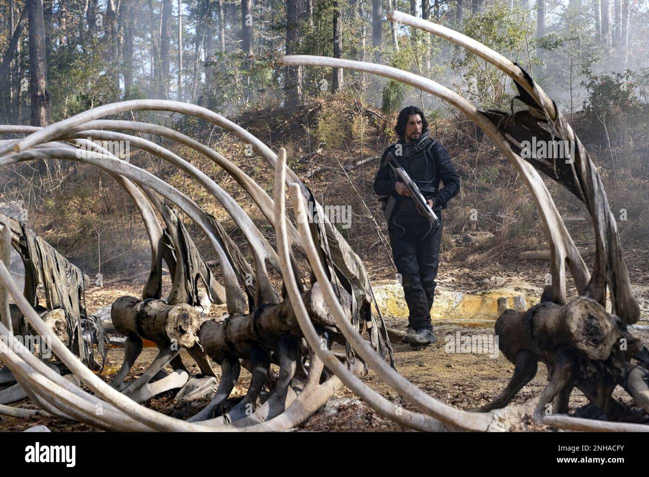 65 est un prochain film de thriller de science-fiction américain écrit et réalisé par Scott Beck et Bryan Woods, et avec Adam Driver et Ariana Greenblatt. Cette photographie est à usage éditorial exclusif et est le droit d'auteur de la compagnie de film et/ou le photographe assigné par la compagnie de film ou de production et ne peut être reproduite que par des publications en conjonction avec la promotion du film ci-dessus. Un crédit obligatoire pour la société de cinéma est requis. Le photographe doit également être crédité lorsqu'il est connu. Banque D'Images