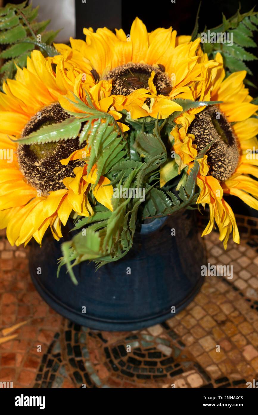 Tournesols dans un joli pot de fleurs, assis sur une table de carrelage. St Paul Minnesota MN États-Unis Banque D'Images