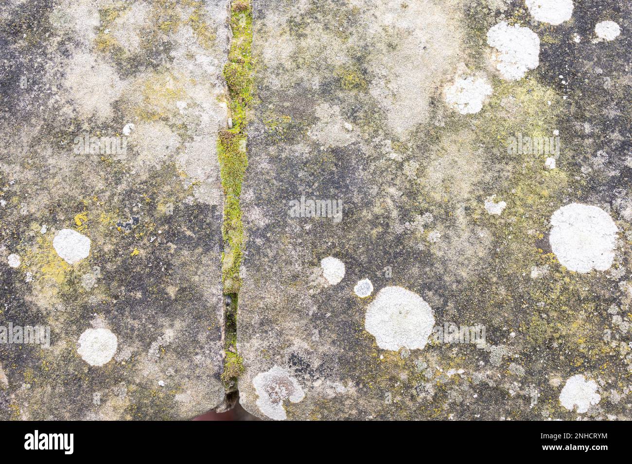 belles pierres de couleur blanche grise, rochers avec mousse, gros plan, nature, texture Banque D'Images