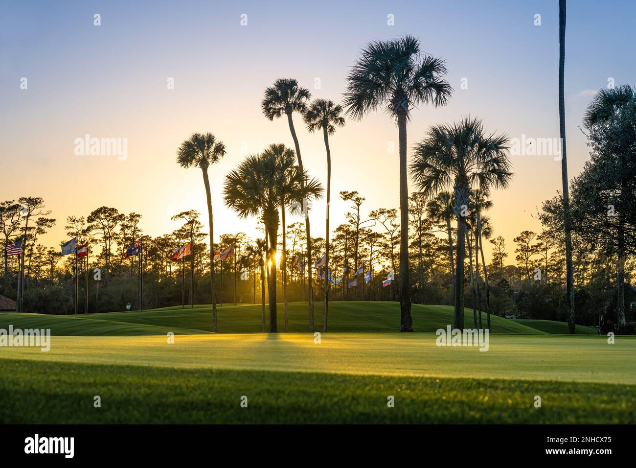 Vue sur les palmiers et les drapeaux internationaux au coucher du soleil le long DU PARCOURS DU STADE DES JOUEURS de TPC Sawgrass, stade du championnat DES JOUEURS de Floride du Nord. Banque D'Images