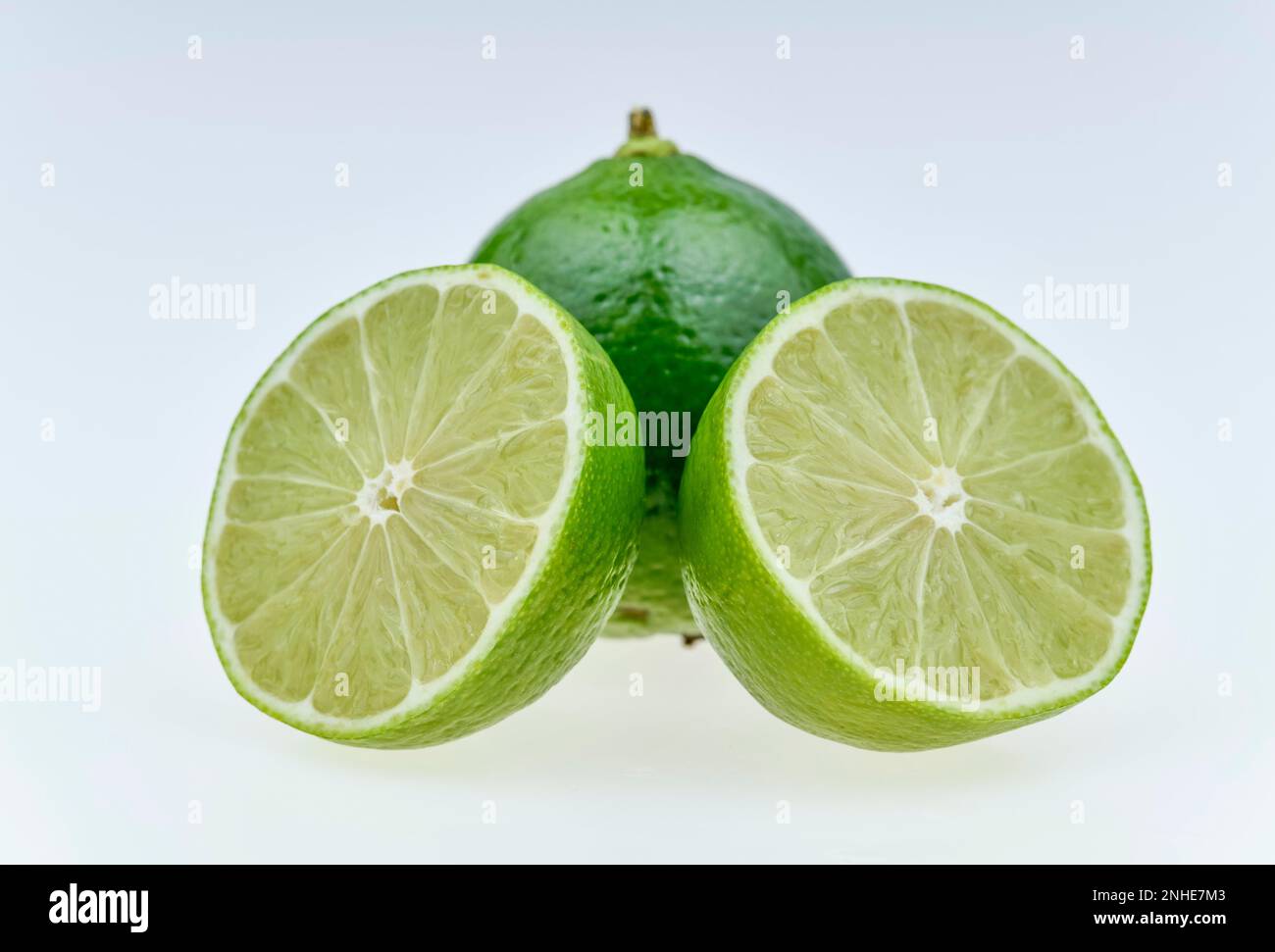 Citron vert (Citrus aurantifolia) Banque D'Images