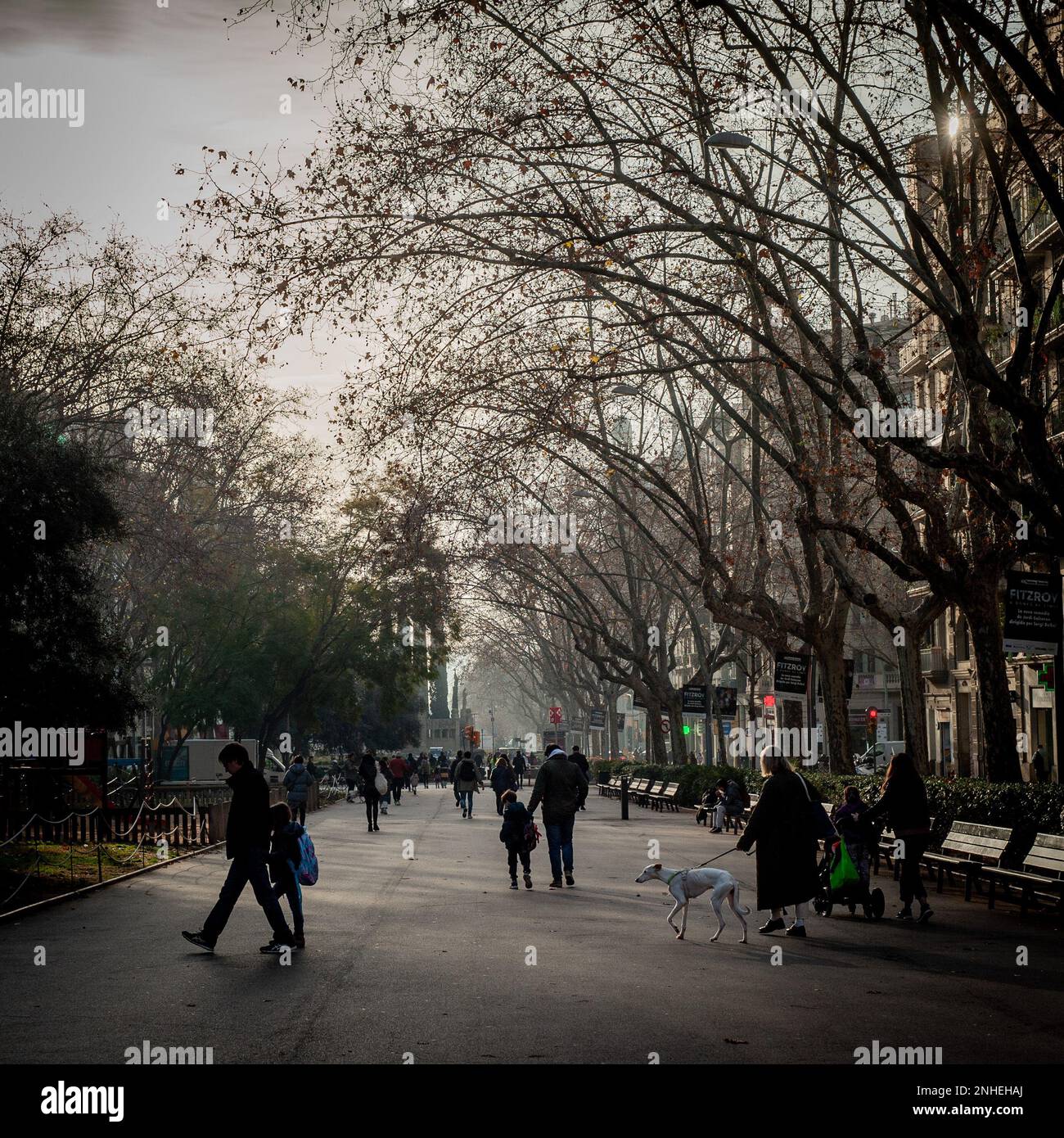 Les navetteurs en début de matinée longent l'avenue Passeig de Sant Joan dans le quartier Eixample de Barcelone. Banque D'Images