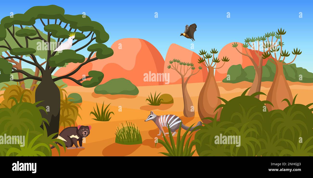 Paysage de la faune australienne avec des animaux et des oiseaux parmi les arbres tropicaux et les plantes illustration vectorielle plate Illustration de Vecteur