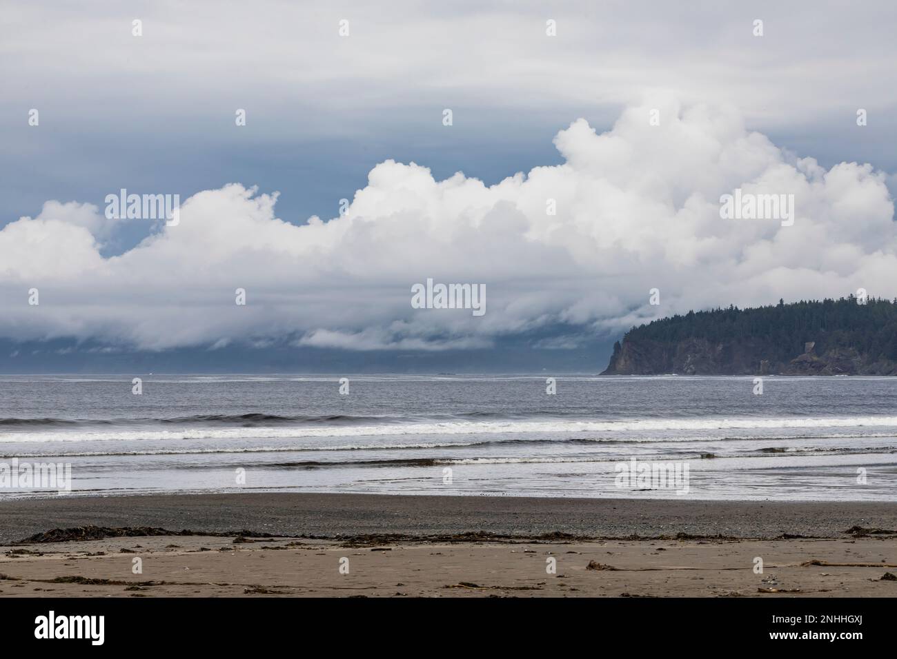 Le brouillard offre une atmosphère enchanteresse à Shi Shi Beach, dans le parc national olympique de l'État de Washington, aux États-Unis Banque D'Images