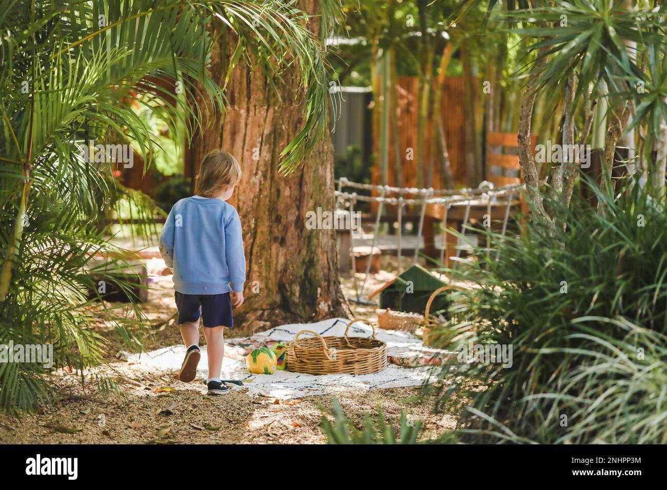 Petit garçon marchant dans un beau jardin tropical de jardin d'enfants Banque D'Images