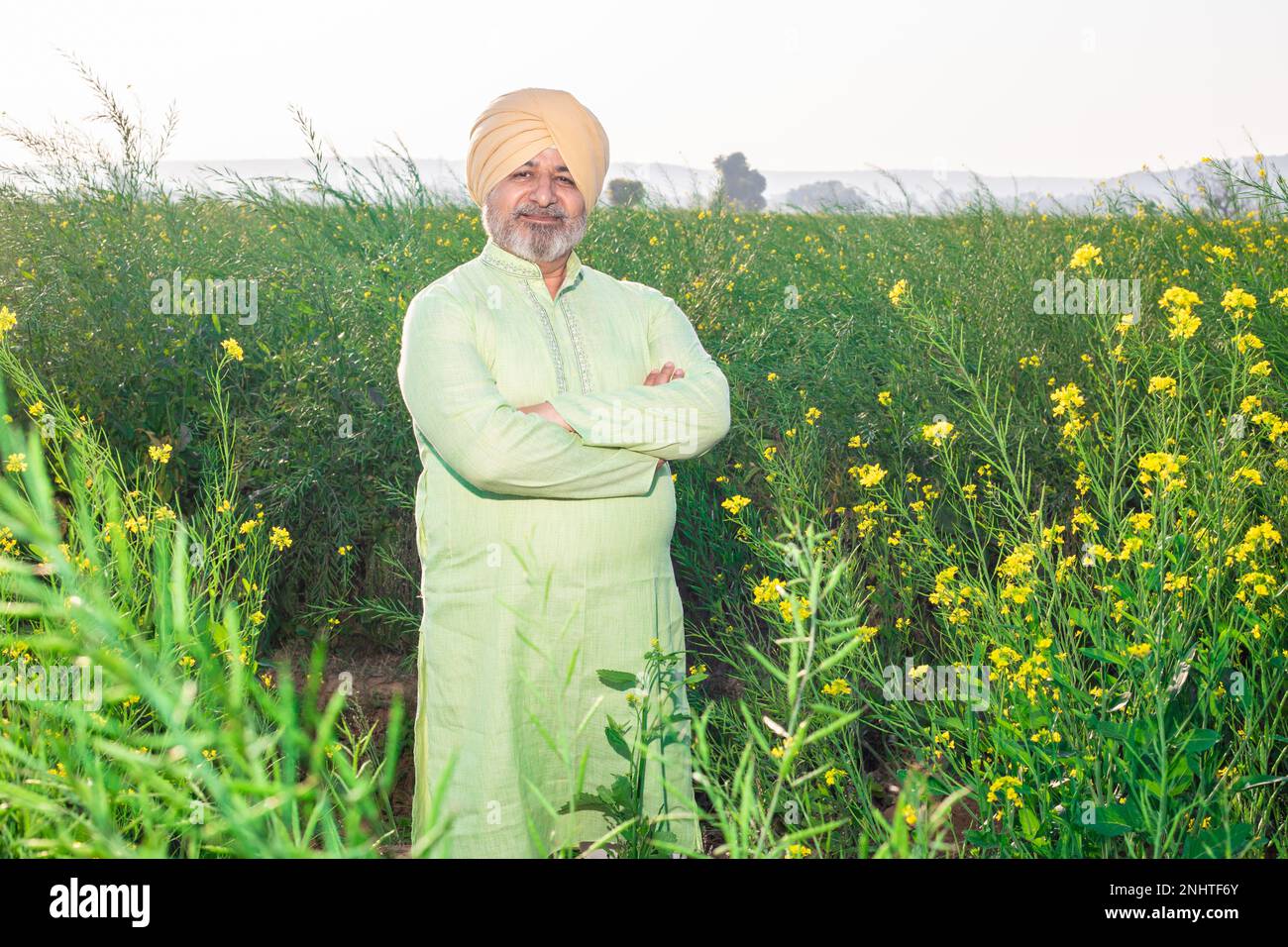 Portrait d'un homme de Punjabi sikh âgé souriant portant un pagdi et une tenue traditionnelle de kurta debout bras croisés sur le terrain agricole. Banque D'Images