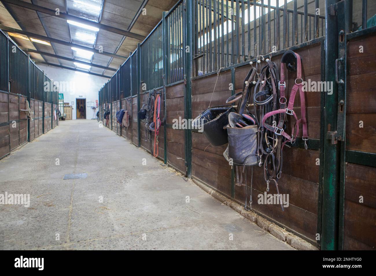 Ranch Roping Wade Horse Saddle Western Tree A Fork Work Leather 12-18 Seat MD147
