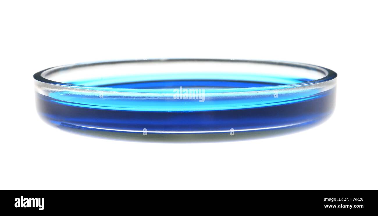 Boîte de Pétri avec échantillon liquide bleu isolé sur blanc Banque D'Images