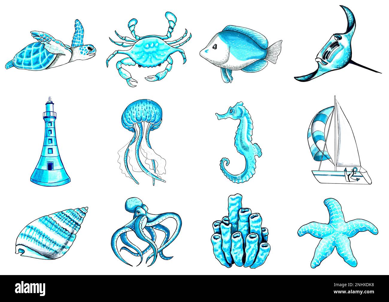Set marin couleur aqua avec la vie sous-marine. Illustration JPEG animaux marins. Banque D'Images