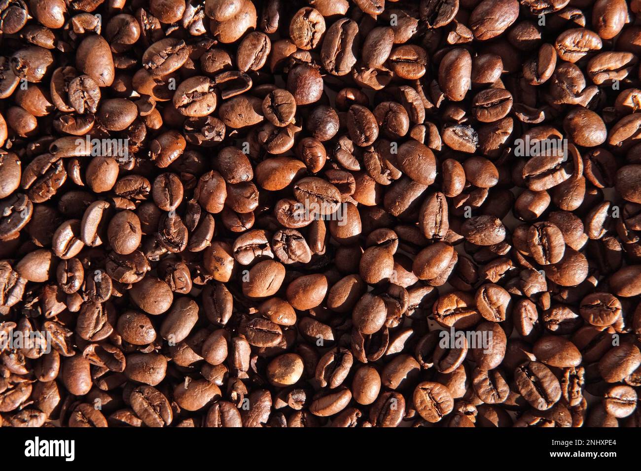 Fond de grains de café. Gros plan sur la texture des grains de café. Le café torréfié brun foncé tourne. Abondance. Concept pour la publicité des produits du café. S Banque D'Images
