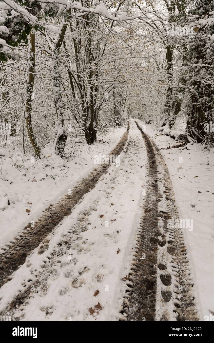 En dehors des sentiers battus, les quatre voies de véhicules à quatre roues sur des chemins de bride dans la neige profonde dans des bois isolés Banque D'Images