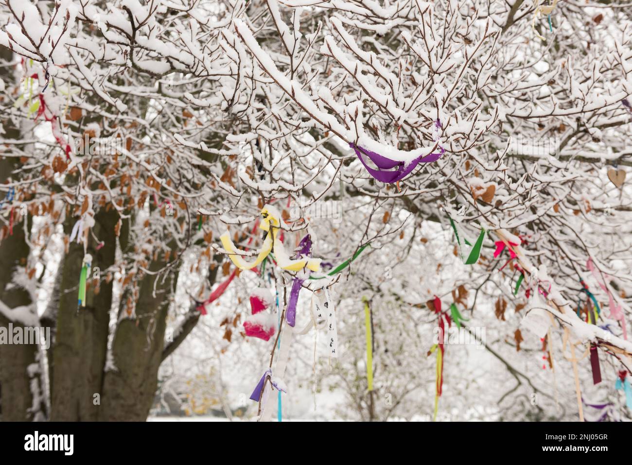 Ruban arbre, rubans colorés, colliers et bandes attachés sur les branches d'un arbre de prière de hêtre près de la barrow à Coldrum long barrow Banque D'Images
