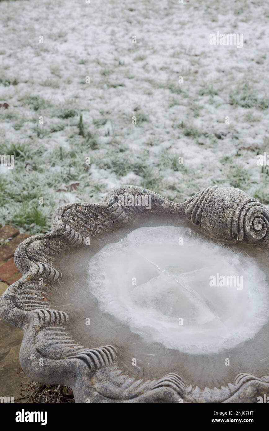 Difficultés pour la faune, en particulier les oiseaux qui ont laissé des réserves d'eau potable en pénurie, car de graves conditions de gel font que l'eau bouclent Banque D'Images