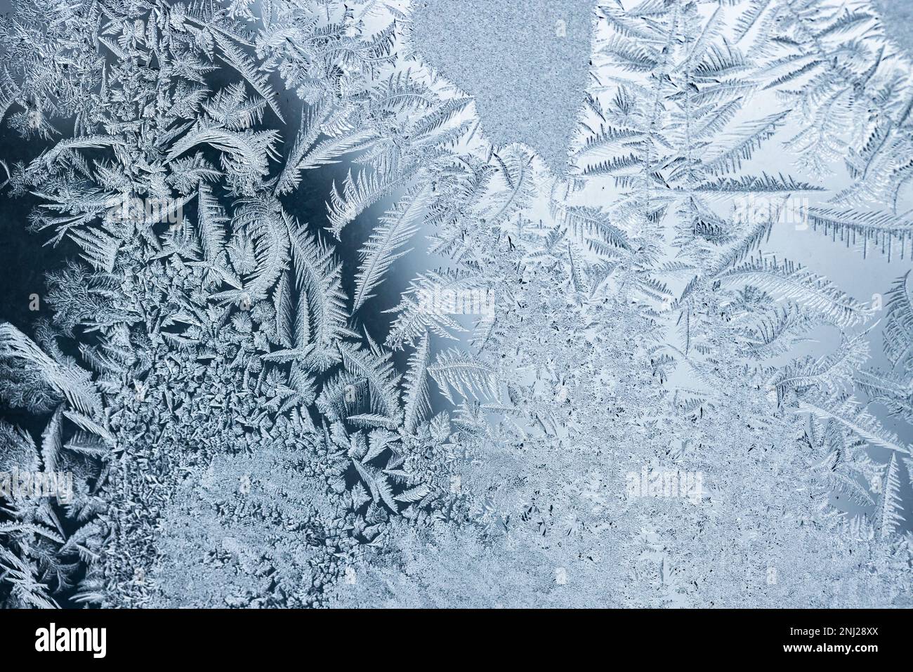 Beaux motifs d'un gel sur un verre de fenêtre, macro photo, arrière-plan naturel d'hiver Banque D'Images