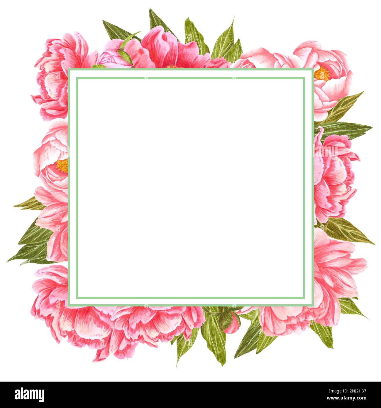 Fleurs de pivoine rose aquarelle dessinées à la main avec feuilles et bourgeons verts sur fond blanc. Scrapbook design, invitation de mariage, étiquette, bannière, Banque D'Images