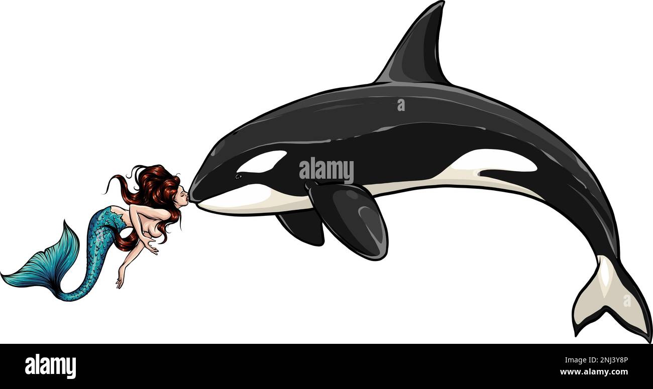 syren Killer Whale sur fond blanc isolé, Orca vectoriel dans le style de dessin animé, Illustration de Vecteur