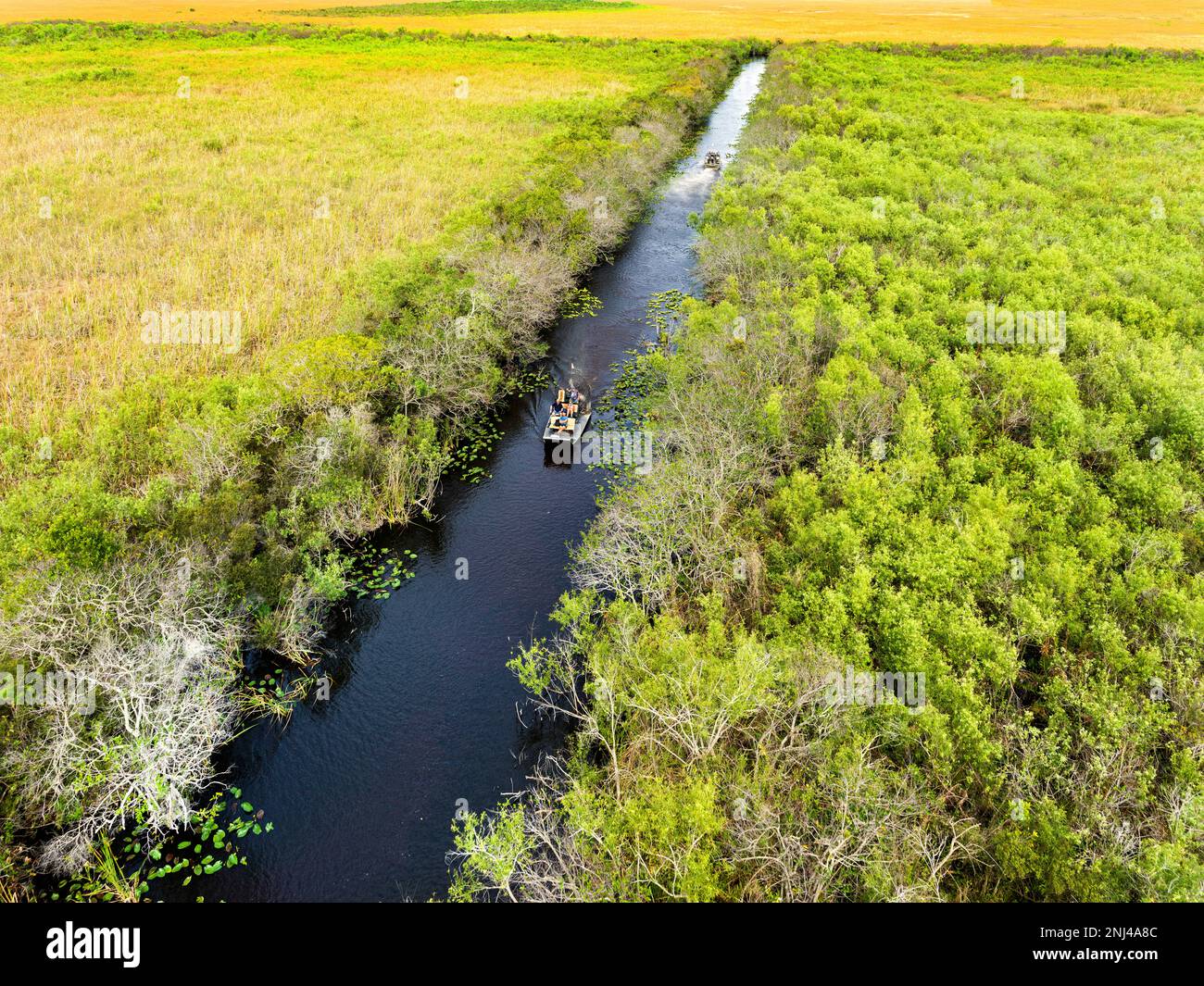 Parc national des Everglades, vue aérienne en saison sèche, hélicoptère, Miami, Floride, États-Unis Banque D'Images