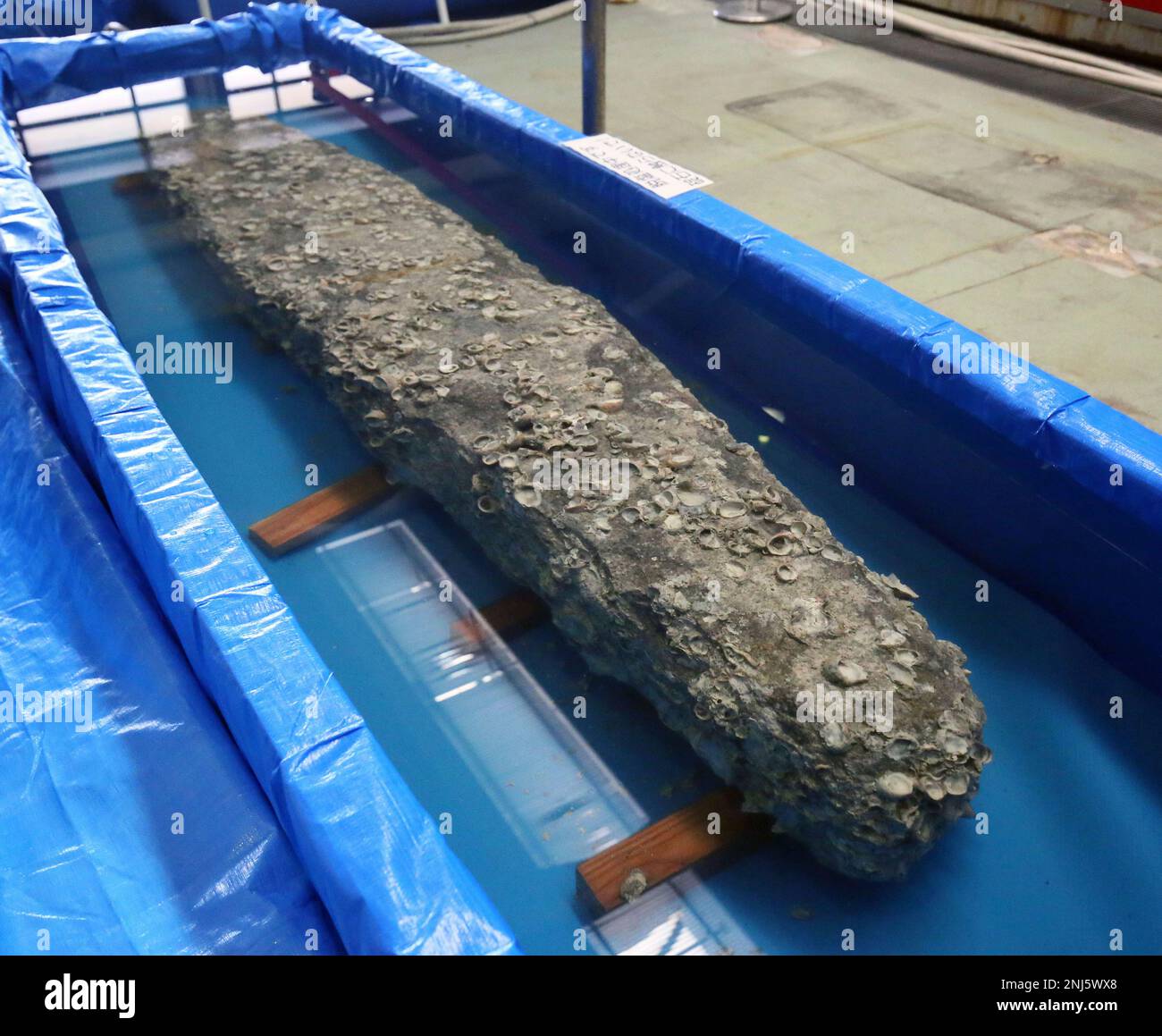 An ancient anchor stone which was discovered is opened to public at a museum in Matsuura City, Nagasaki Prefecture, western Japan and Kyusyu island region, on October 8, 2022. The anchor stone is believed to have been used for 20 to 30-meter-long Genko ship. Mongolia invasions to Japan were taken by Kublai Khan of the Yuan dynasty in 1274 and 1281 to conquer the Japanese archipelago. The invasion plan is said to have failed due to two typhoons called "kamikaze" (divine wind).( The Yomiuri Shimbun via AP Images ) Banque D'Images