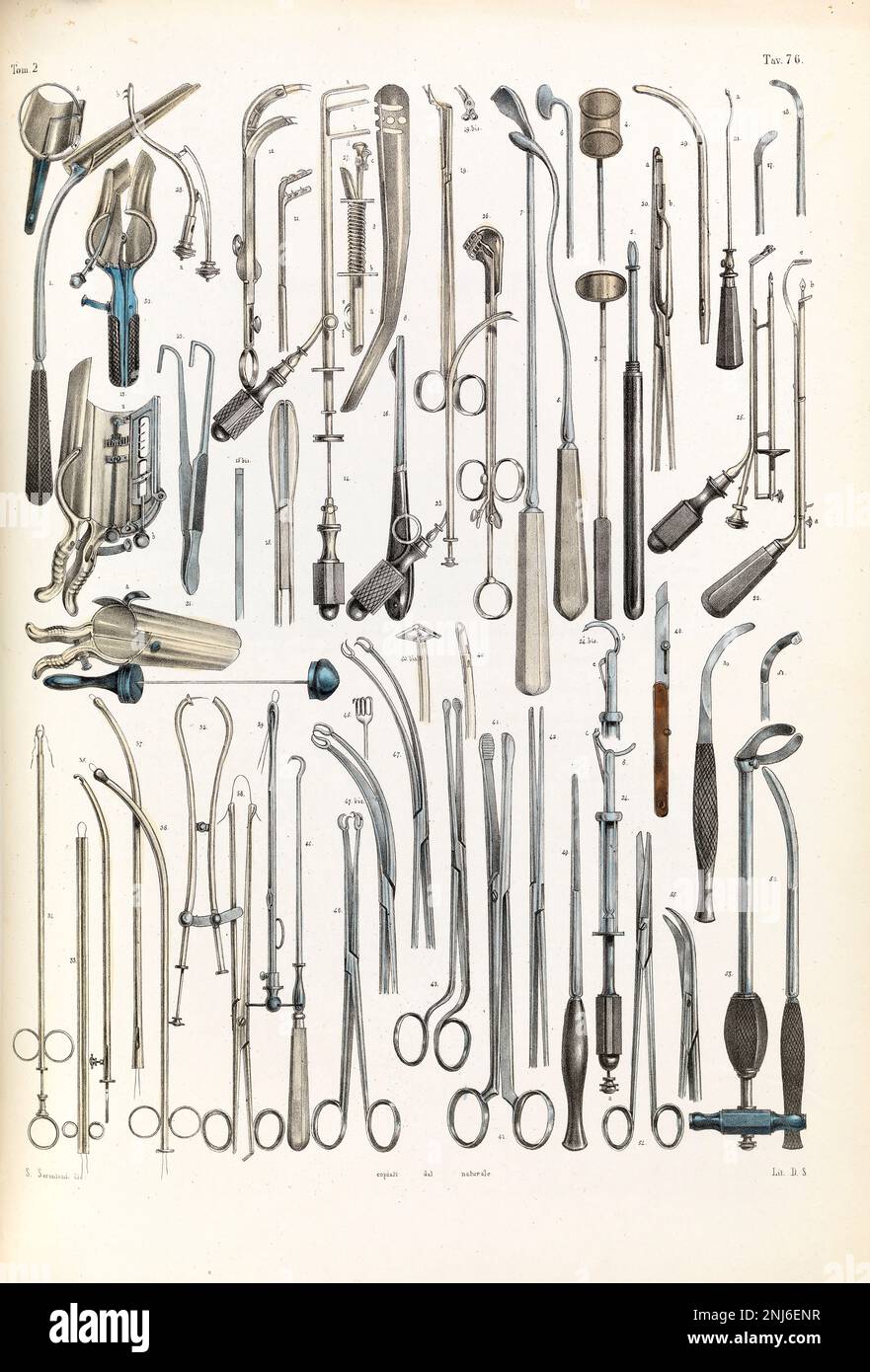 Victorian anatomical drawing Banque de photographies et d’images à ...