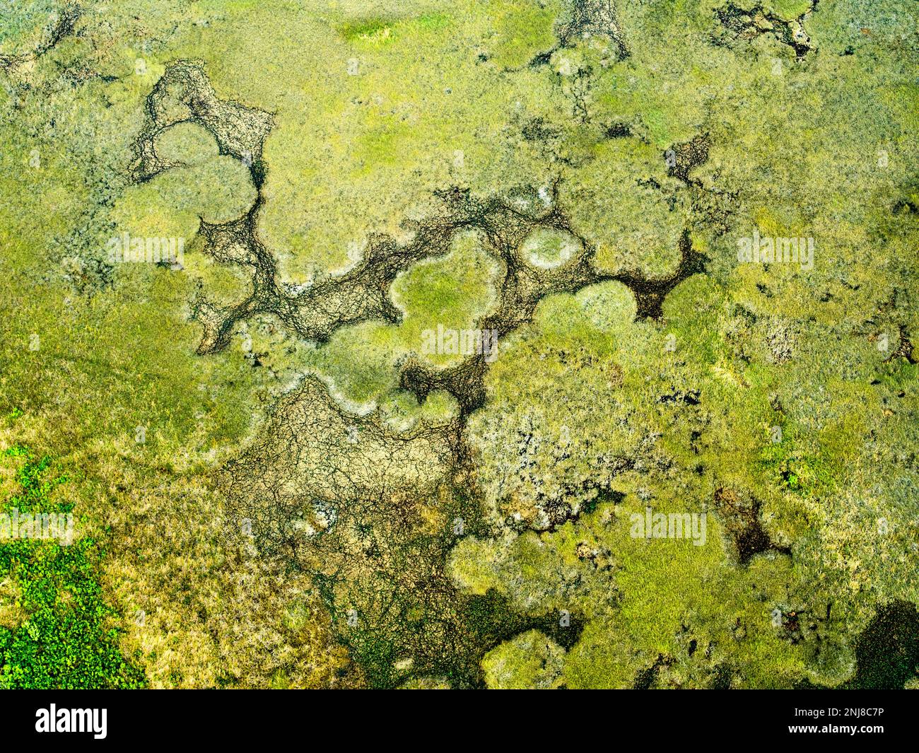 Parc national des Everglades, vue aérienne en saison sèche, hélicoptère, Miami, Floride, États-Unis Banque D'Images