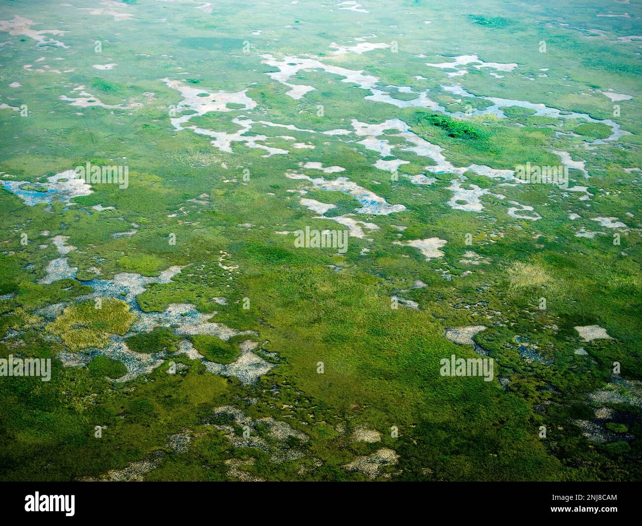 Parc national des Everglades, vue aérienne en saison sèche, hélicoptère, Miami, Floride, États-Unis Banque D'Images