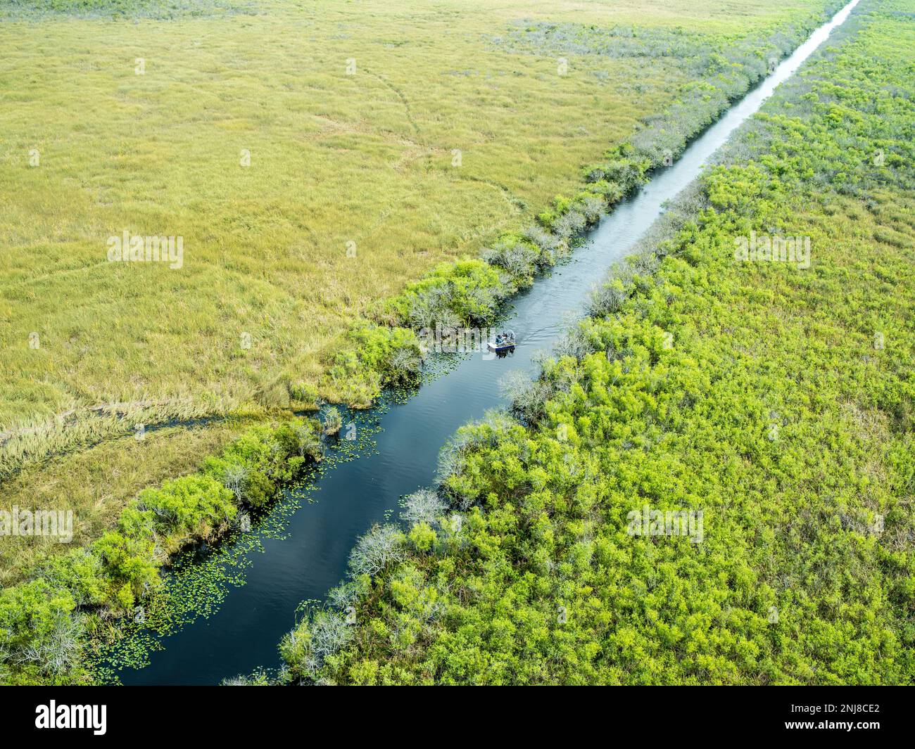 Parc national des Everglades, vue aérienne en saison sèche, hélicoptère, Miami, Floride, États-Unis Banque D'Images