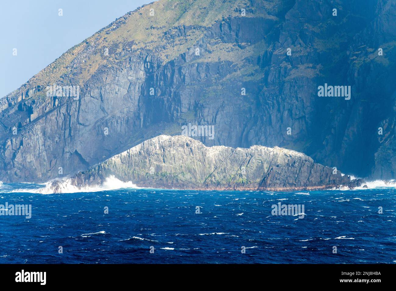 Les falaises rocheuses donnent lieu à des troupeaux d'oiseaux de mer à Cape Horn, sur l'île Hornos au Chili Banque D'Images