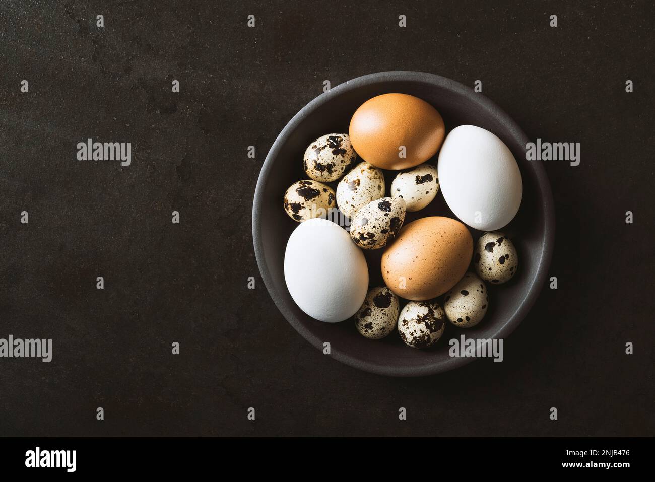 Œufs de poulet blancs et bruns avec des œufs de caille dans un bol sur fond rustique de métal noir Banque D'Images