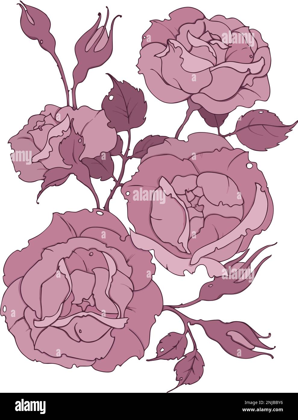 bouquet délicat de roses roses roses, branche avec fleurs, feuilles et bourgeons, illustration vectorielle pour la mode, textile, tissu, décoration. Illustration de Vecteur