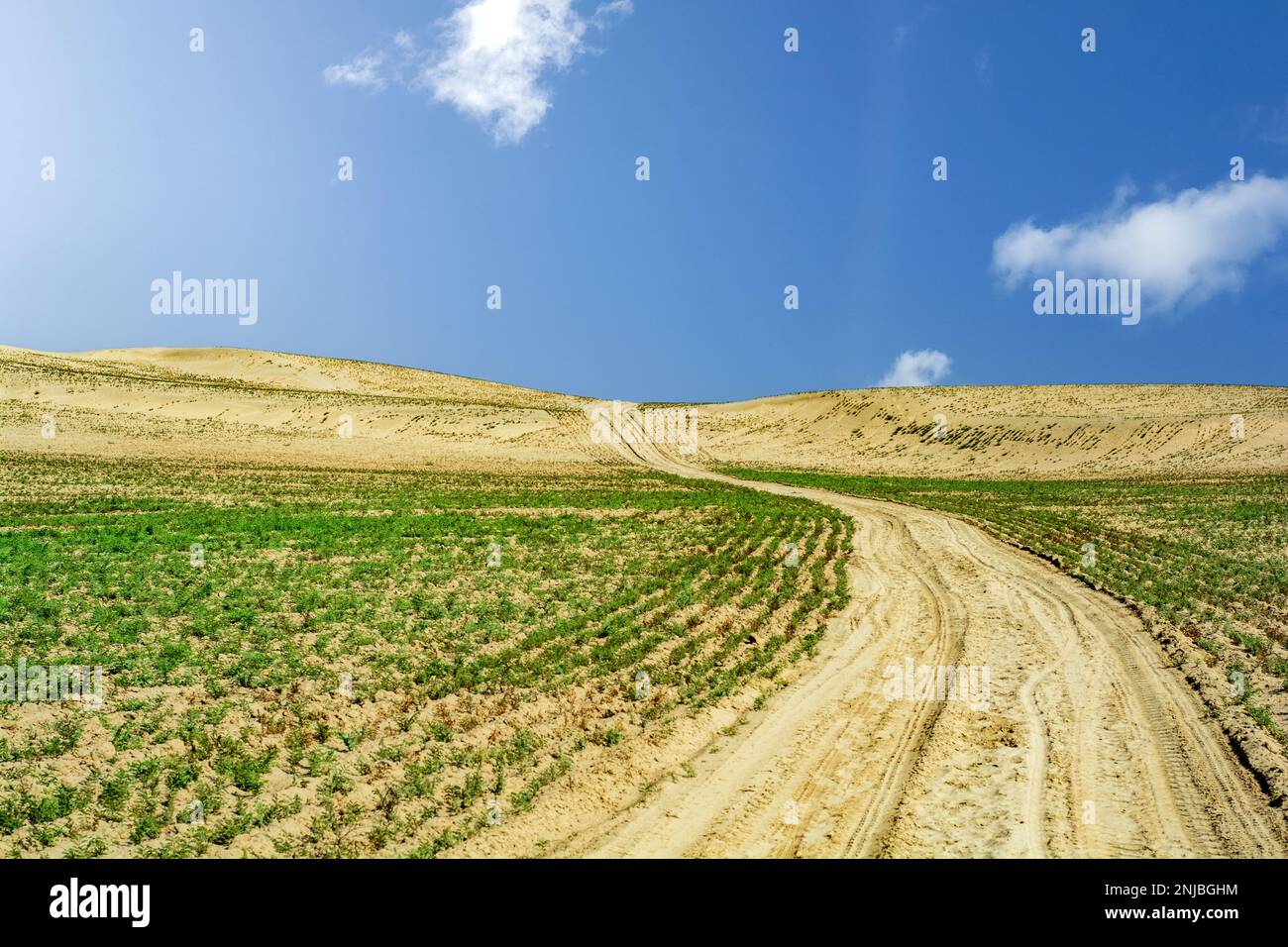 Virage de la route de terre dans le désert de Thar Banque D'Images