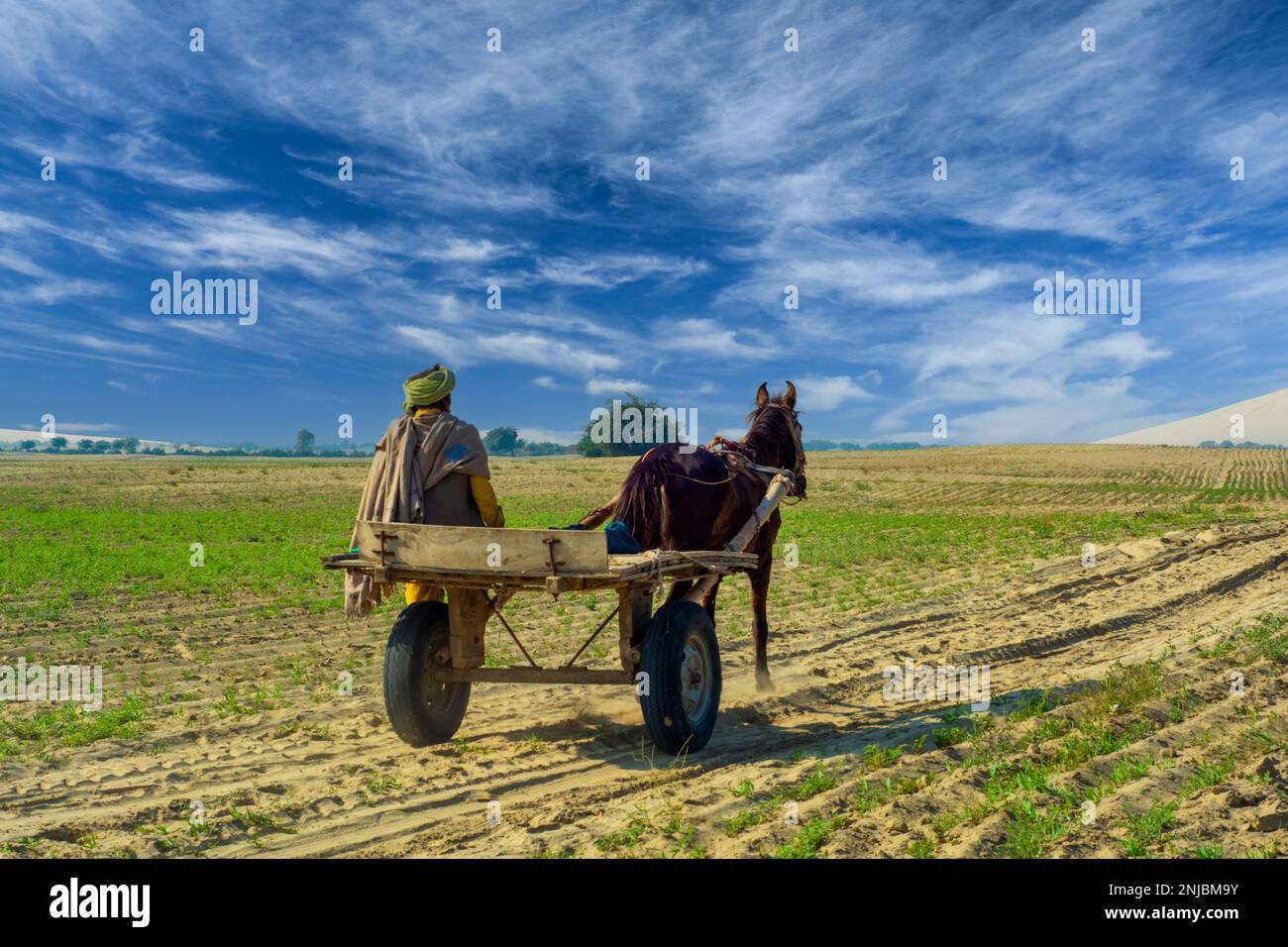 Fermier avec sa voiture de mule dans le désert Banque D'Images
