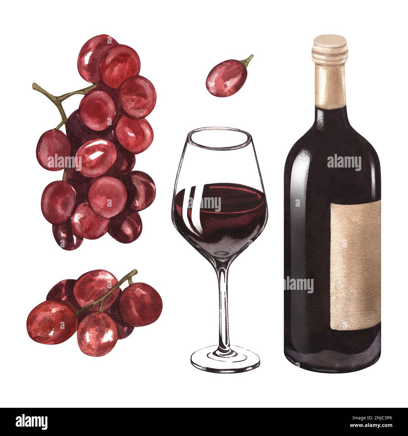 Illustration aquarelle de la bouteille, un verre de vin rouge et de raisin. Photo d'une boisson alcoolisée isolée sur fond blanc. Banque D'Images